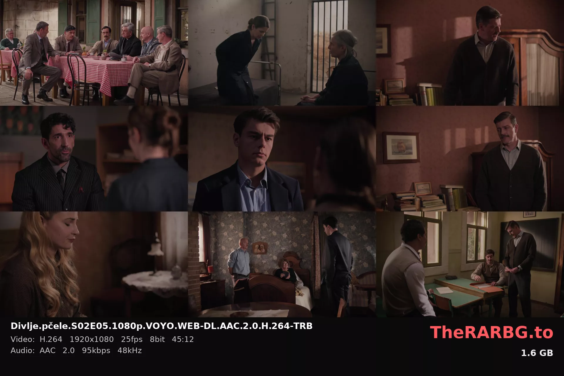 Divlje.pčele.S02E05.1080p.VOYO.WEB-DL.AAC.2.0.H.264-TRB