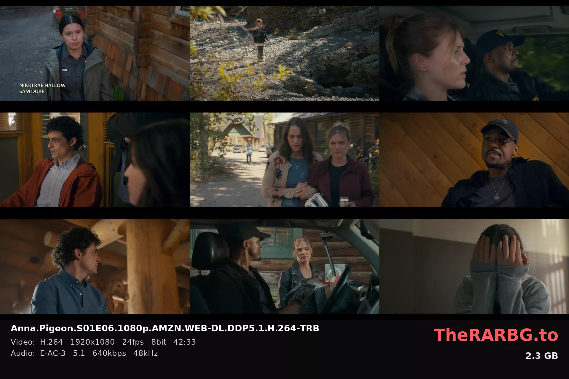 Anna.Pigeon.S01E06.1080p.AMZN.WEB-DL.DDP5.1.H.264-TRB