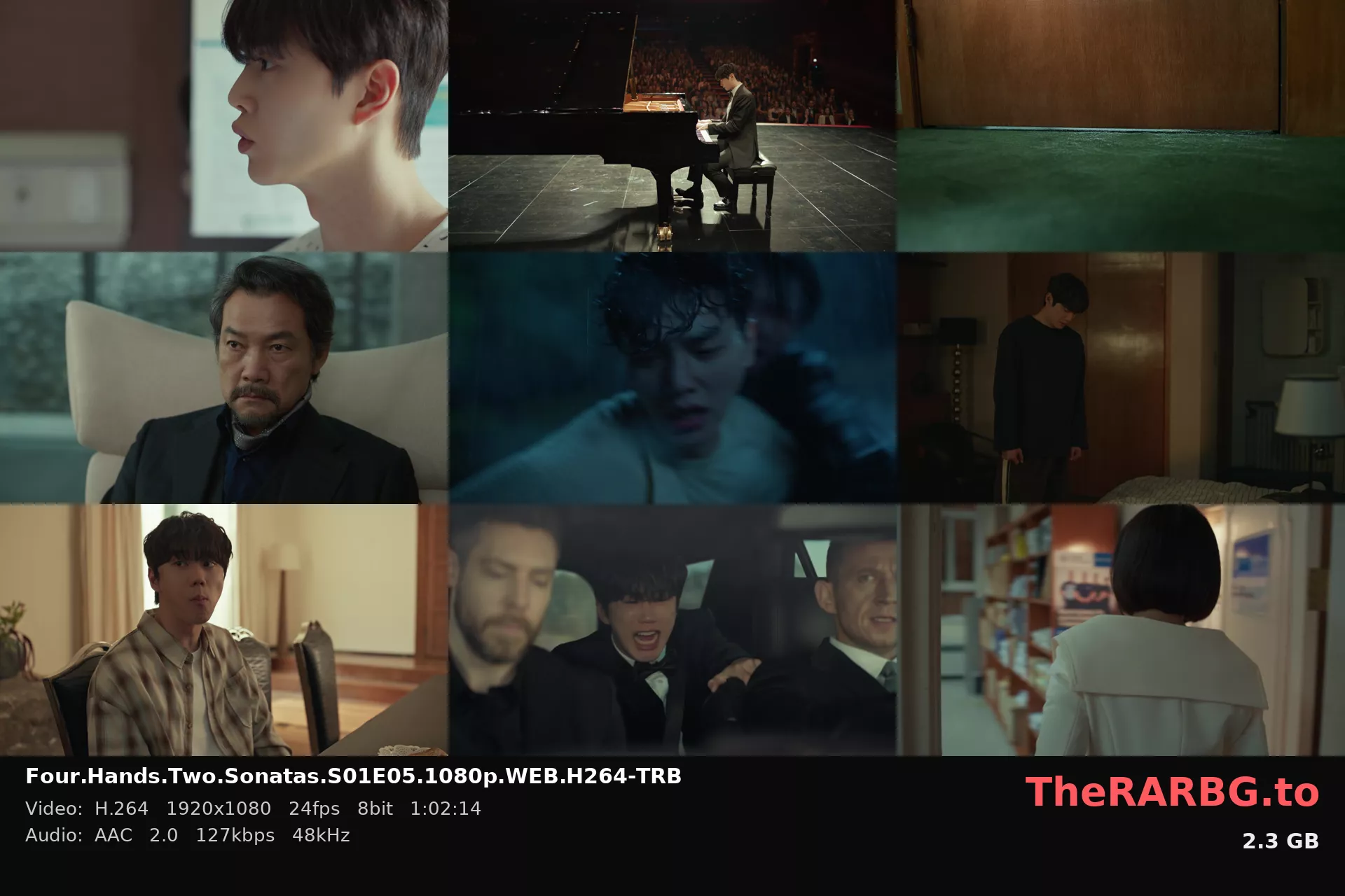 Four.Hands.Two.Sonatas.S01E05.1080p.WEB.H264-TRB