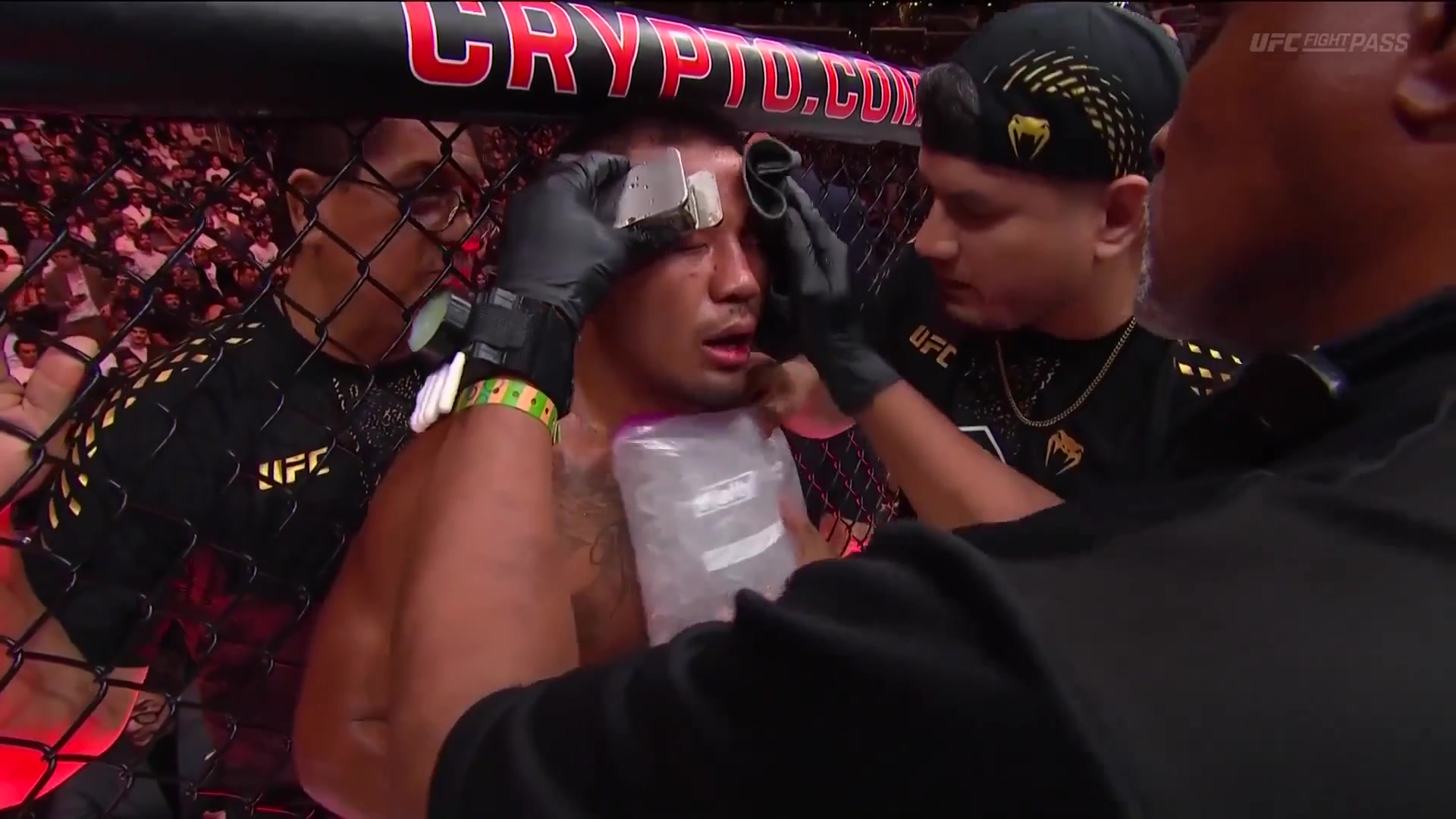 UFC.331.Van.vs.Pantoja.2.1080p.WEB.h264-TRB