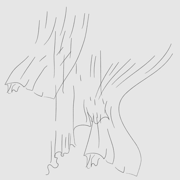 Click to enlarge Image error