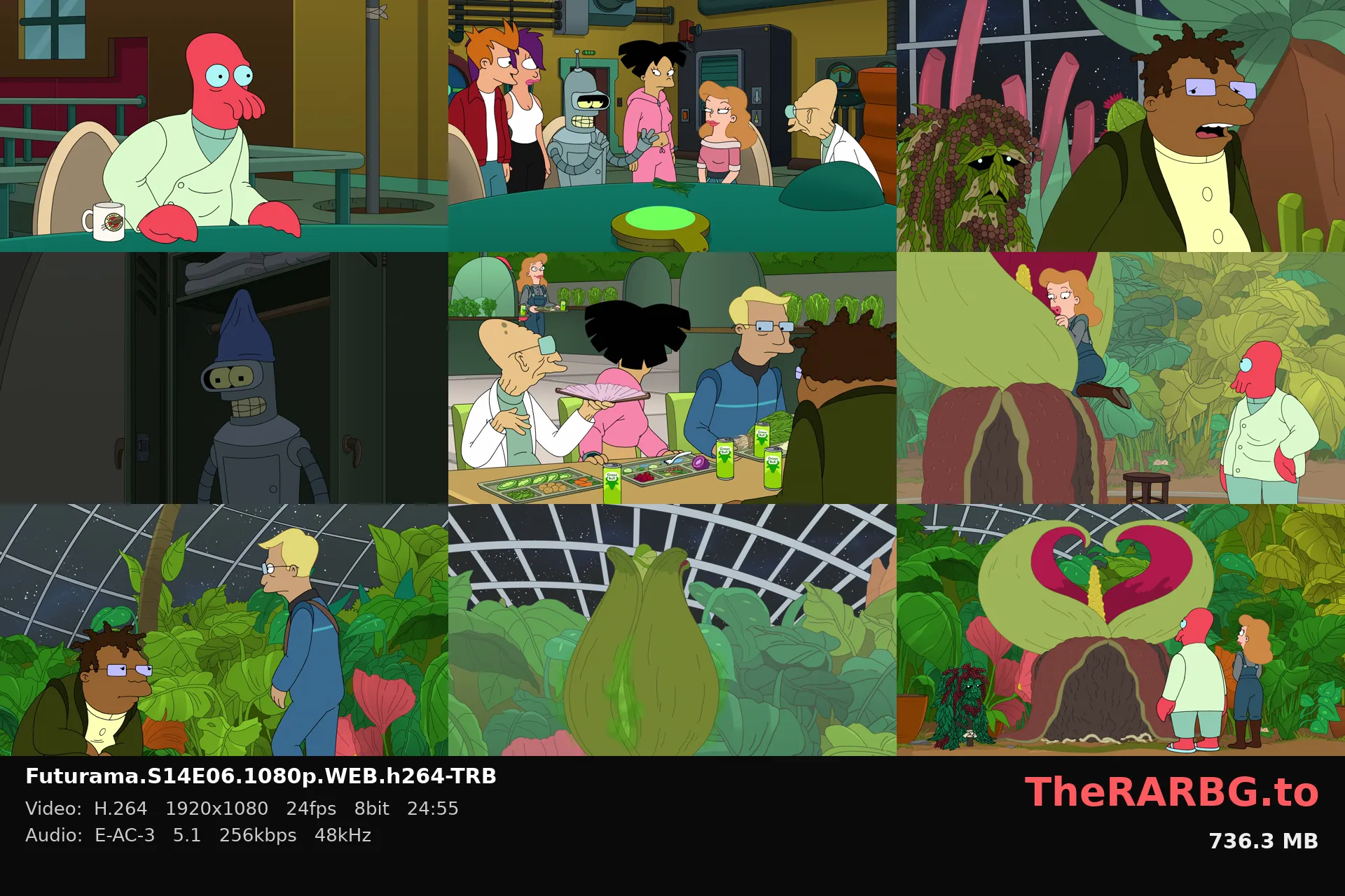 Futurama.S14E06.1080p.WEB.h264-TRB
