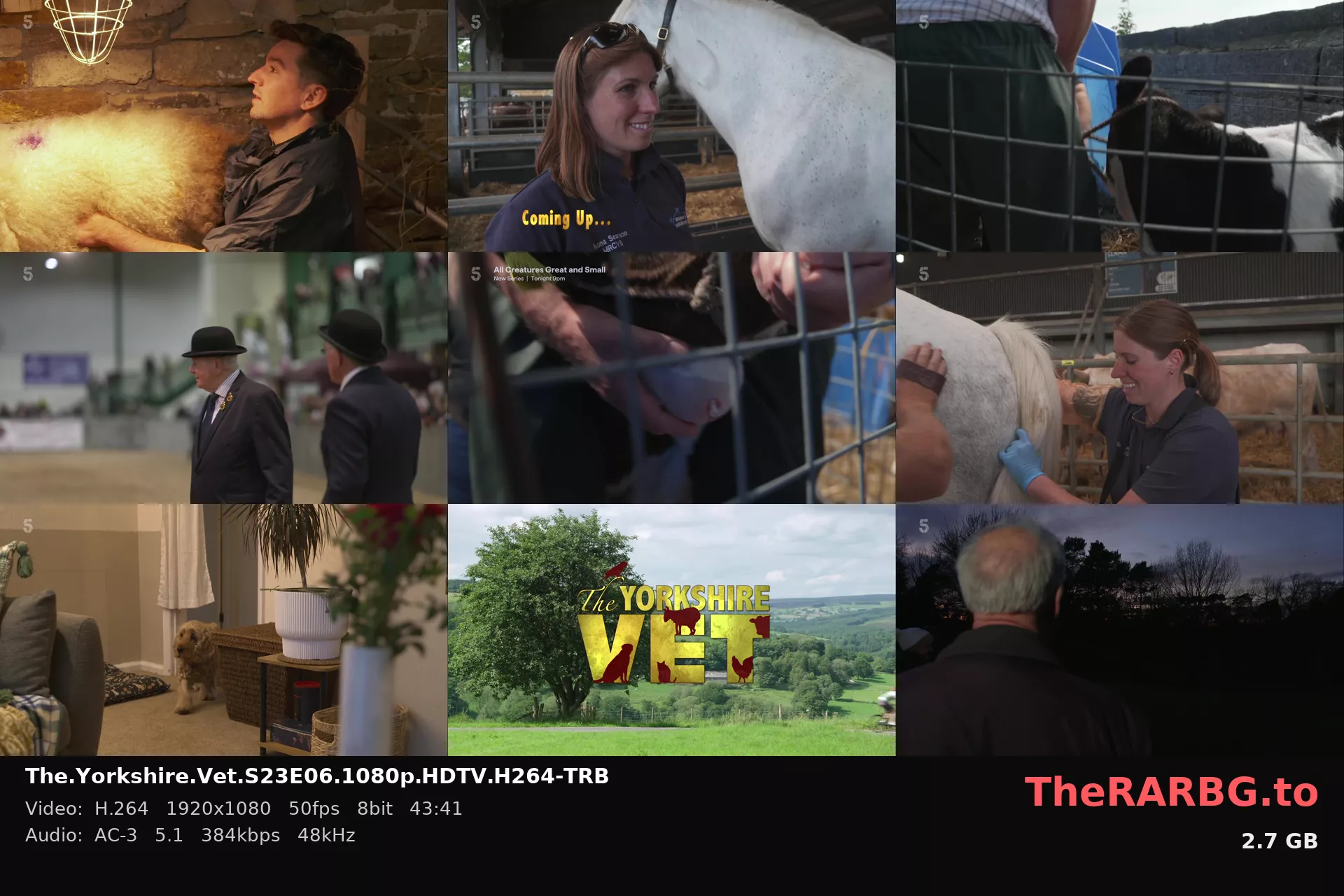 The.Yorkshire.Vet.S23E06.1080p.HDTV.H264-TRB