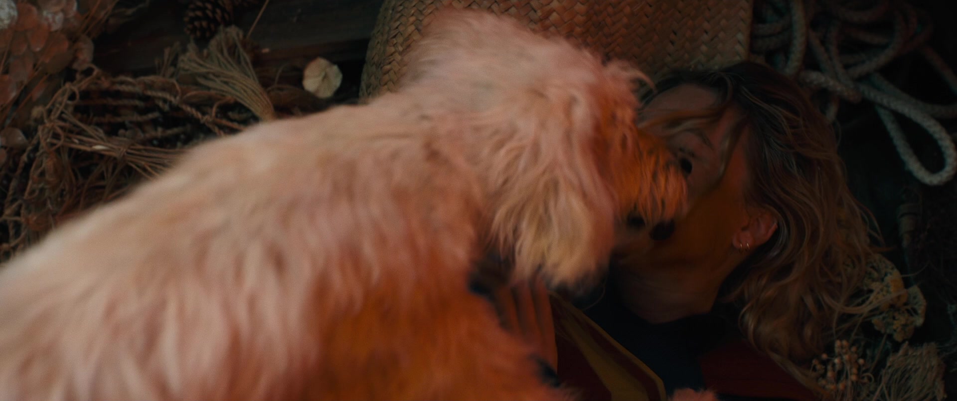 Supergirl.2026.1080p.BluRay.x264-TRB
