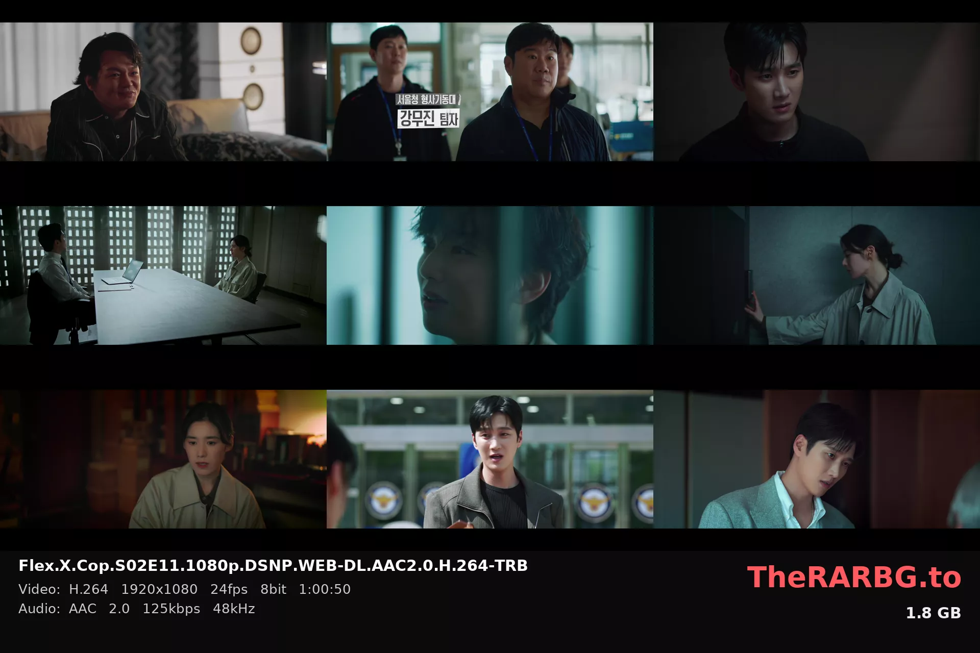 Flex.X.Cop.S02E11.1080p.DSNP.WEB-DL.AAC2.0.H.264-TRB