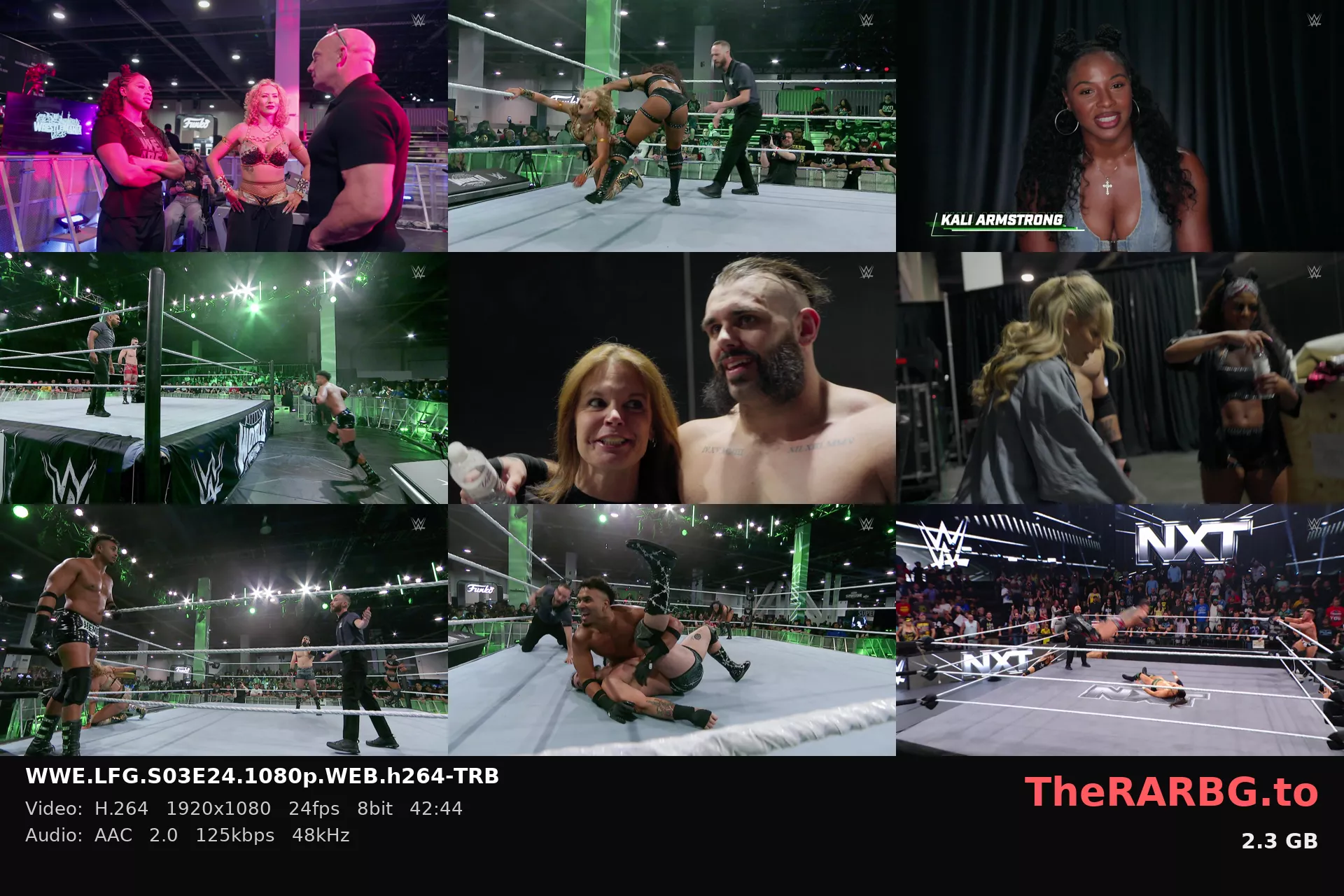 WWE.LFG.S03E24.1080p.WEB.h264-TRB