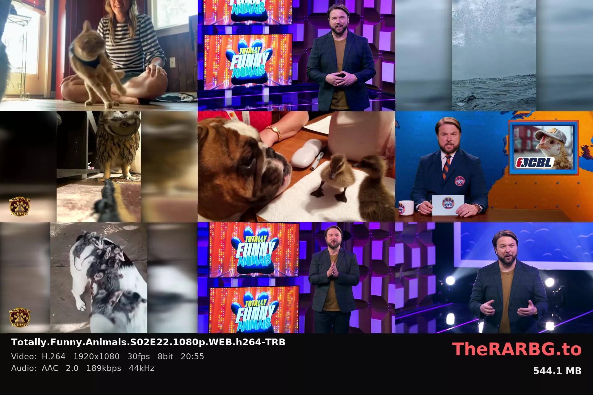 Totally.Funny.Animals.S02E22.1080p.WEB.h264-TRB