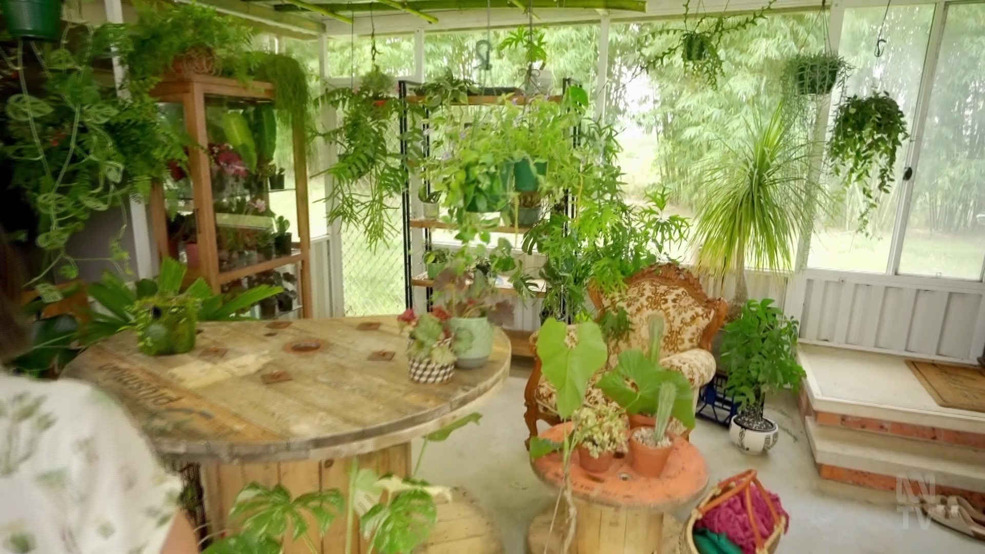 Gardening.Australia.S37E24.1080p.HDTV.H264-TRB