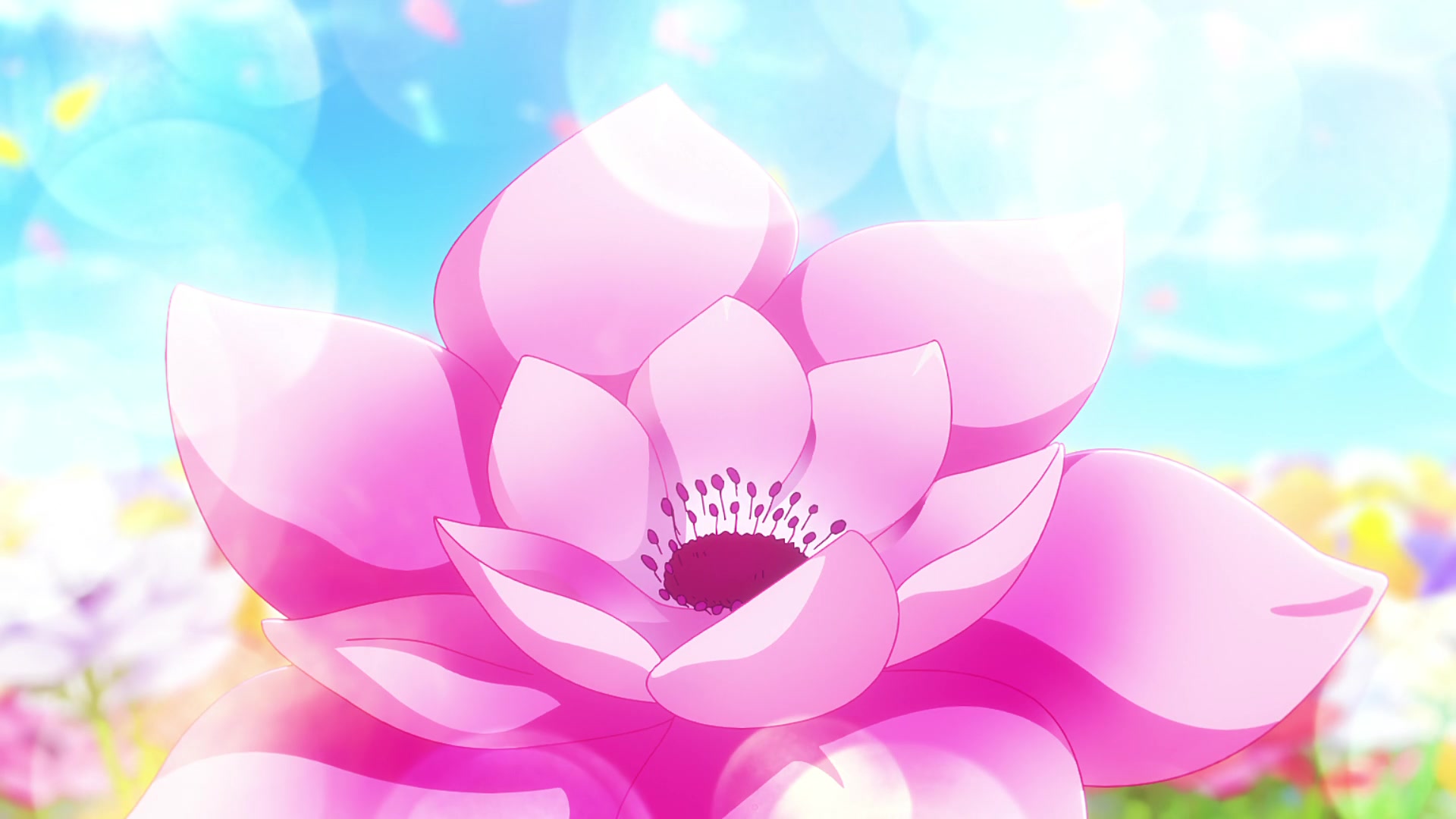 Hana-Kimi.S02E13.1080p.WEB.H264-TRB