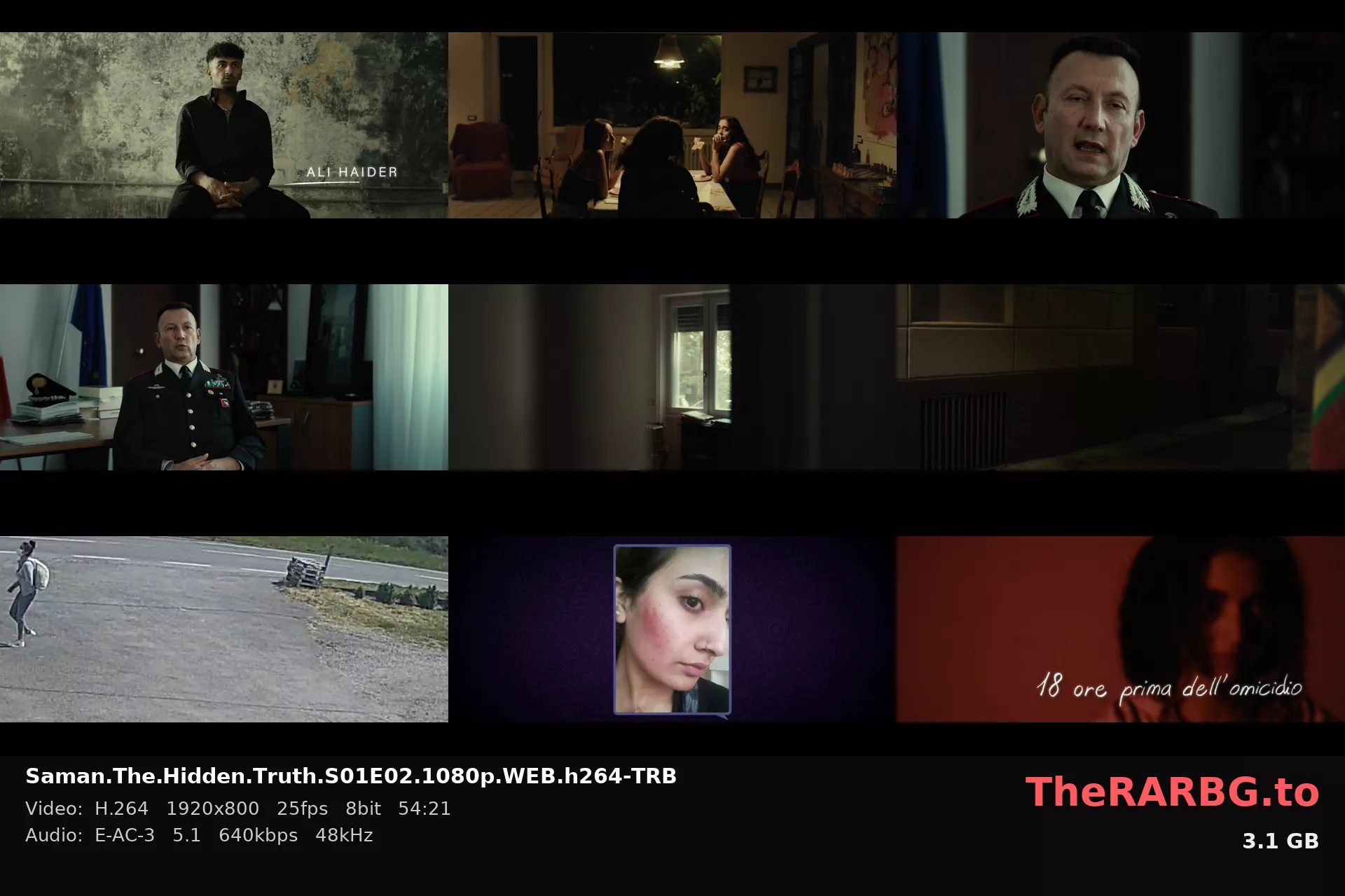 Saman.The.Hidden.Truth.S01E02.1080p.WEB.h264-TRB