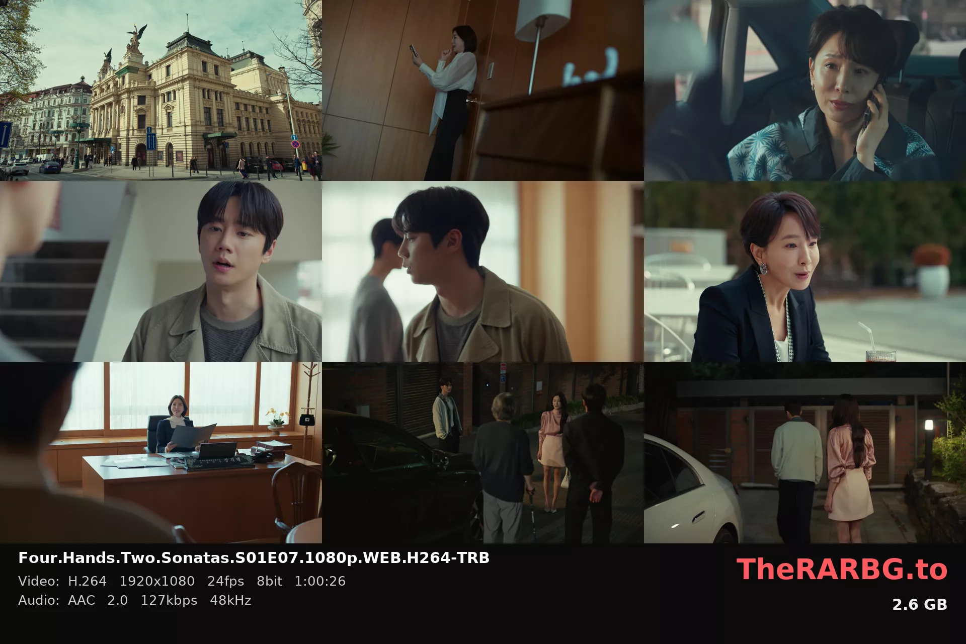 Four.Hands.Two.Sonatas.S01E07.1080p.WEB.H264-TRB