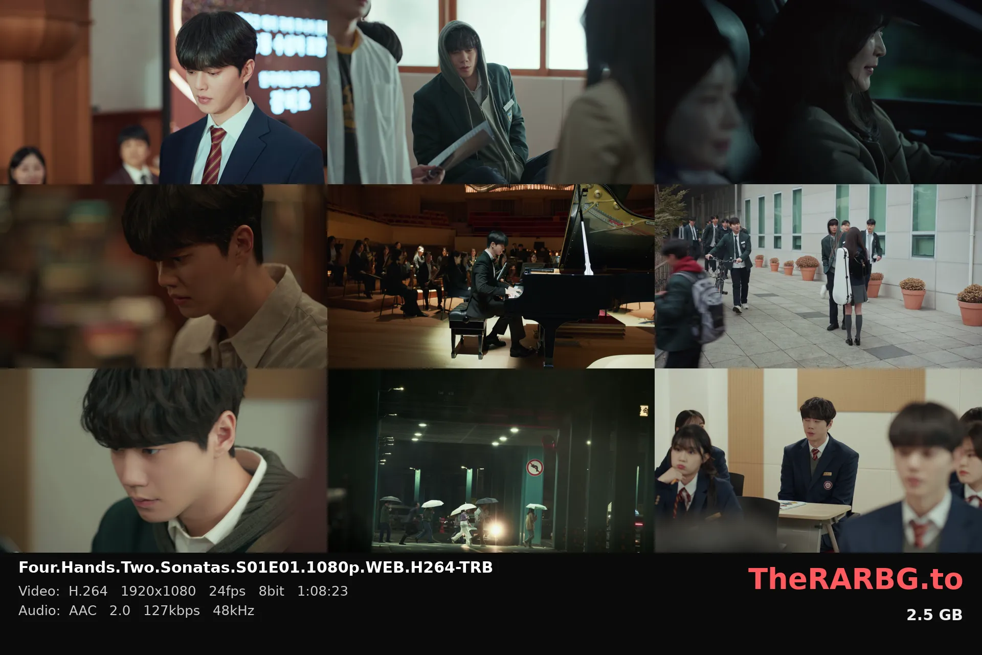 Four.Hands.Two.Sonatas.S01E01.1080p.WEB.H264-TRB