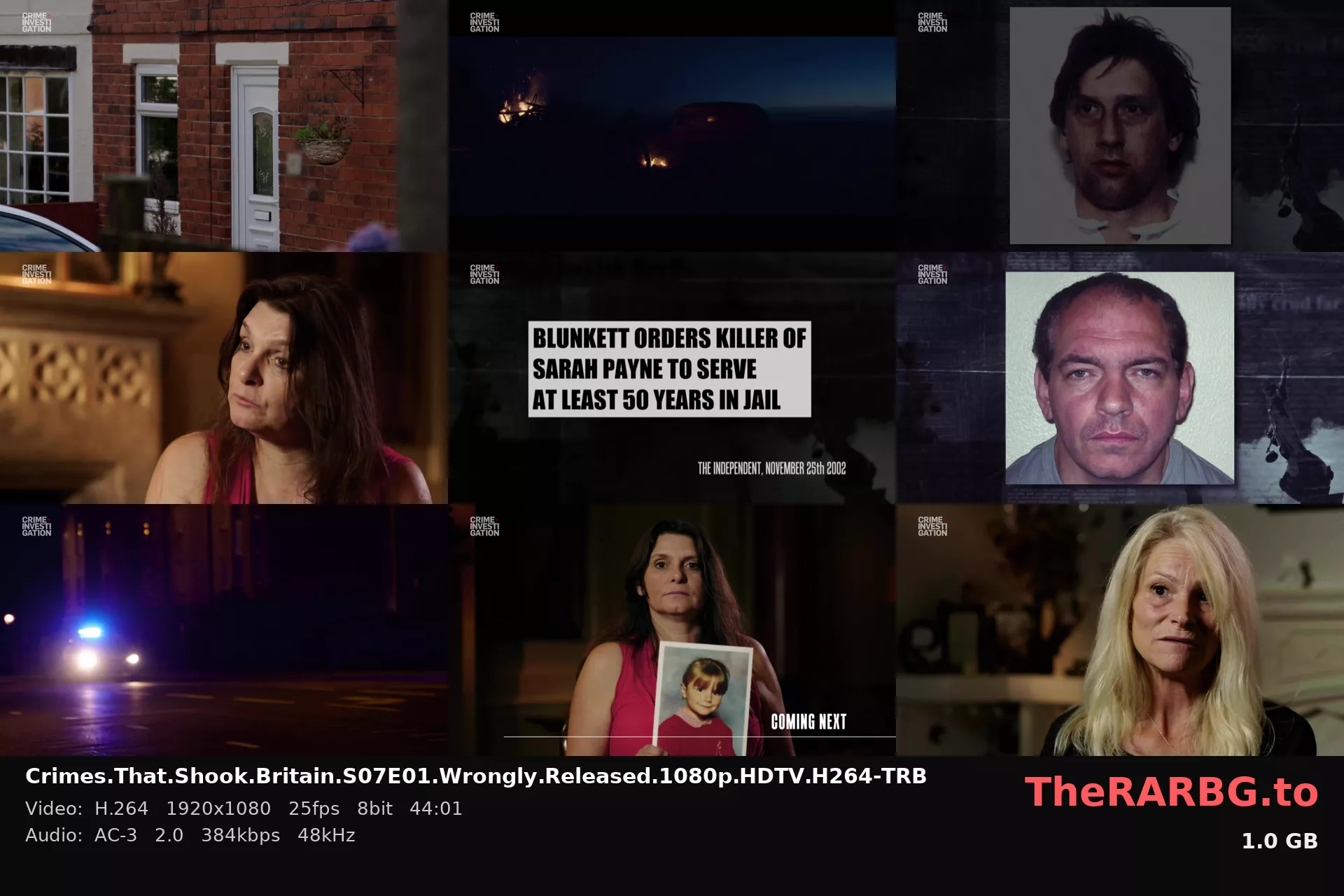 Crimes.That.Shook.Britain.S07E01.Wrongly.Released.1080p.HDTV.H264-TRB