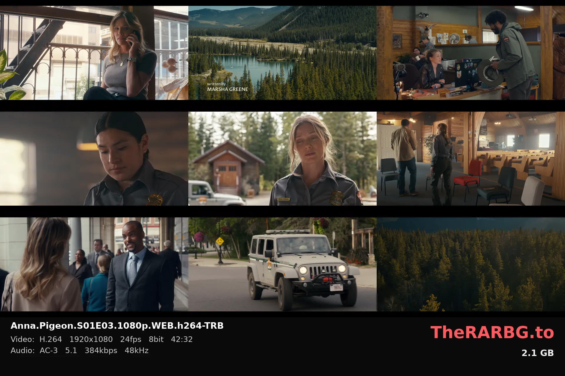 Anna.Pigeon.S01E03.1080p.WEB.h264-TRB
