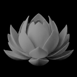 TAMASHIKA.Update.v1.3.4-TRB