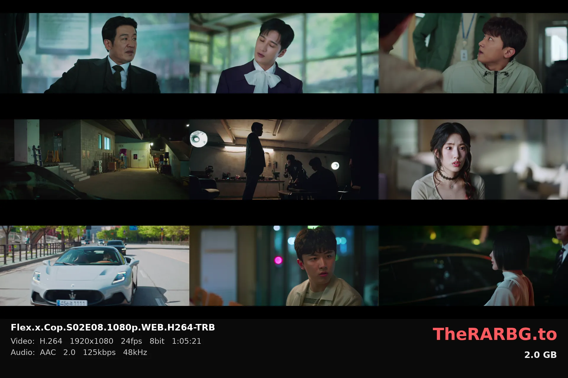 Flex.x.Cop.S02E08.1080p.WEB.H264-TRB