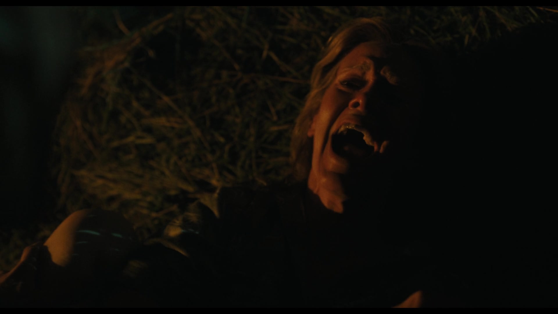 Monster.The.Lizzie.Borden.Story.S01E04.1080p.WEB.H264-TRB