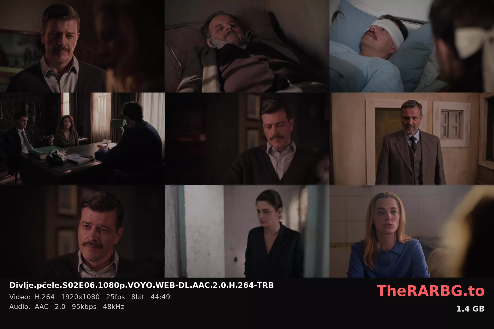 Divlje.pčele.S02E06.1080p.VOYO.WEB-DL.AAC.2.0.H.264-TRB
