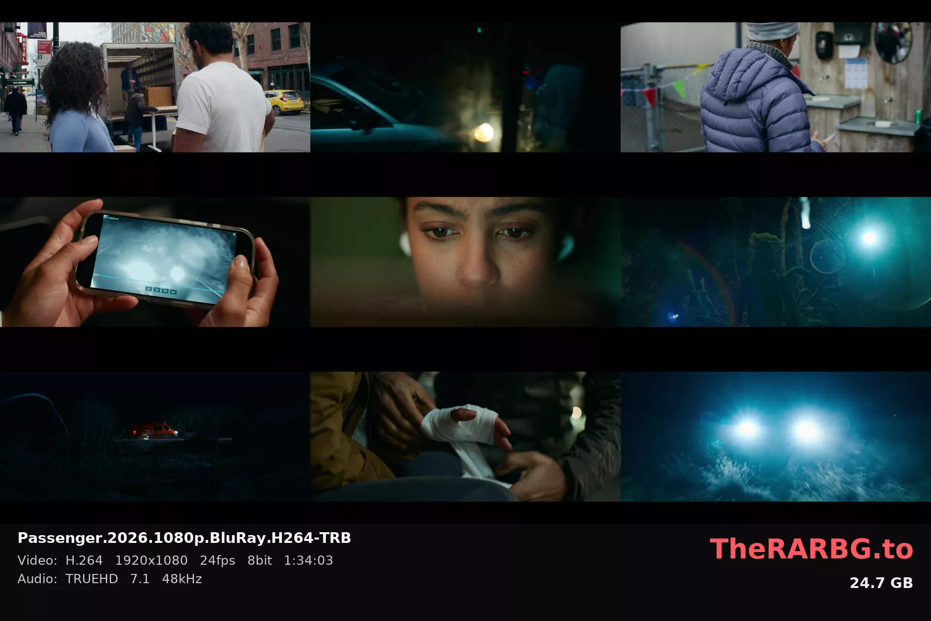 Passenger.2026.1080p.BluRay.H264-TRB
