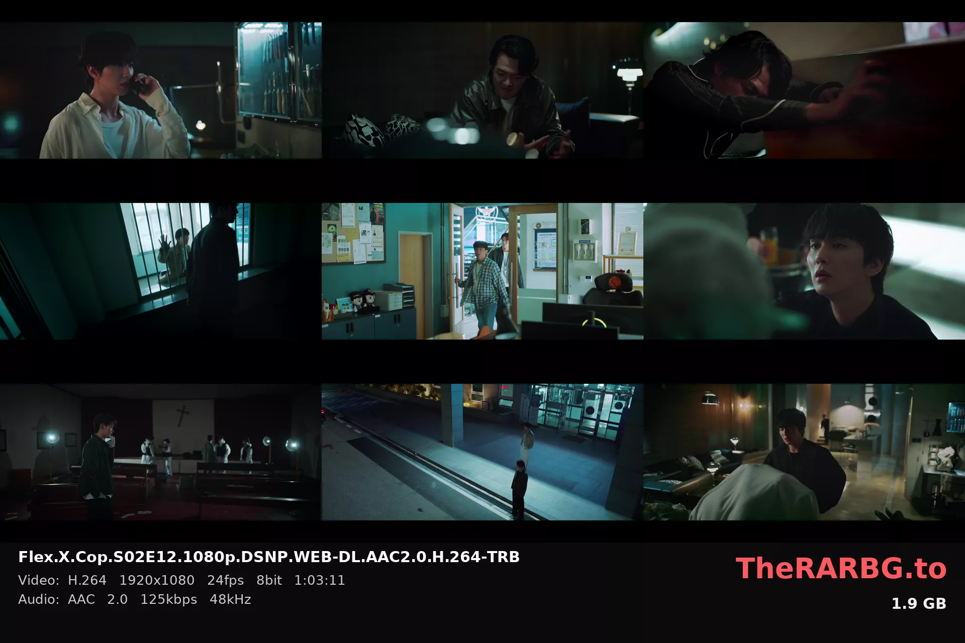 Flex.X.Cop.S02E12.1080p.DSNP.WEB-DL.AAC2.0.H.264-TRB
