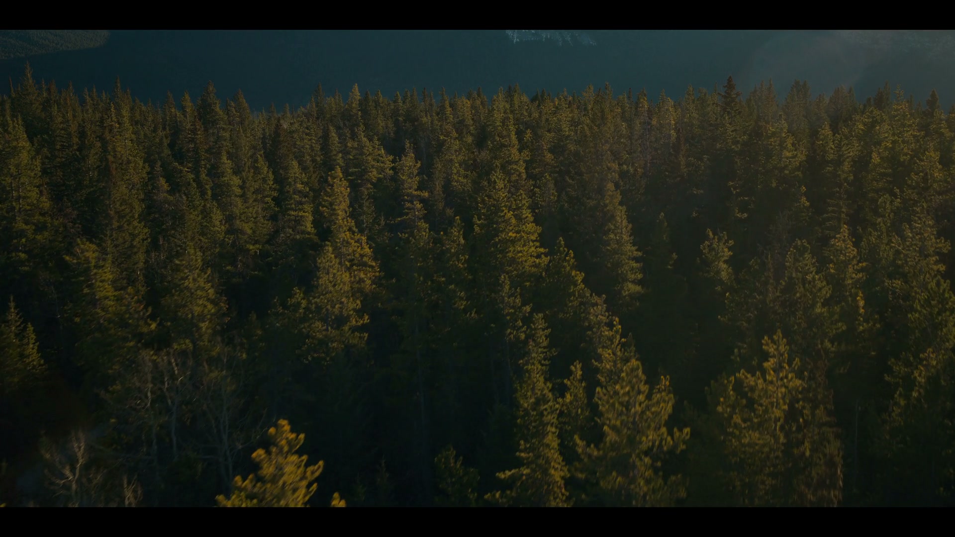Anna.Pigeon.S01E03.1080p.WEB.h264-TRB