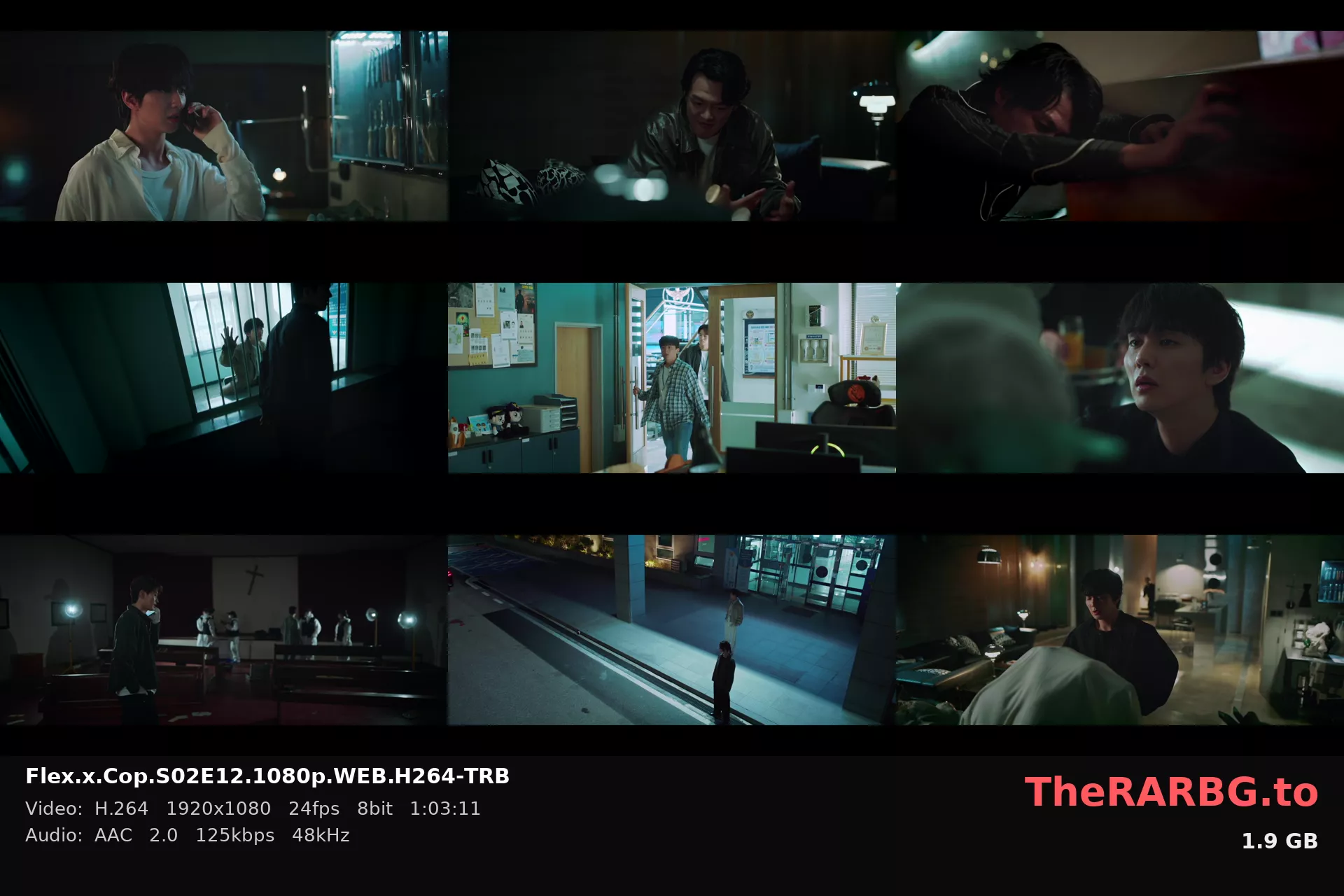 Flex.x.Cop.S02E12.1080p.WEB.H264-TRB