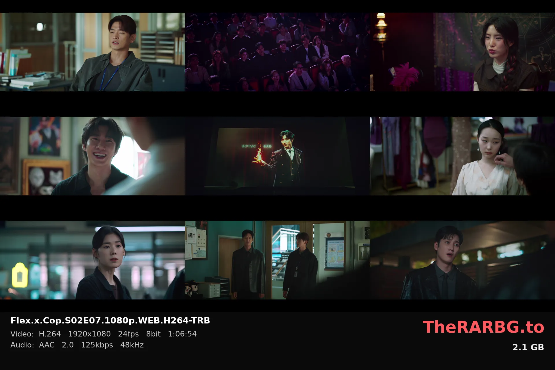 Flex.x.Cop.S02E07.1080p.WEB.H264-TRB
