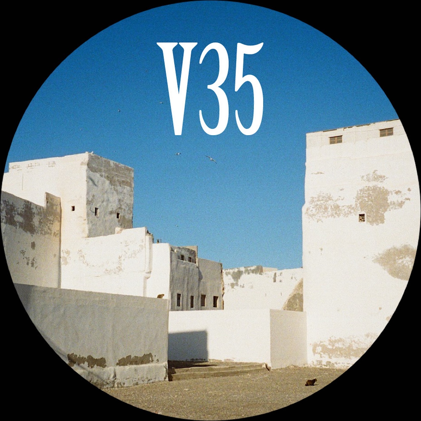 Lobster-Sourcecode_EP-(V35007)-16BIT-WEB-FLAC-2026-TRB
