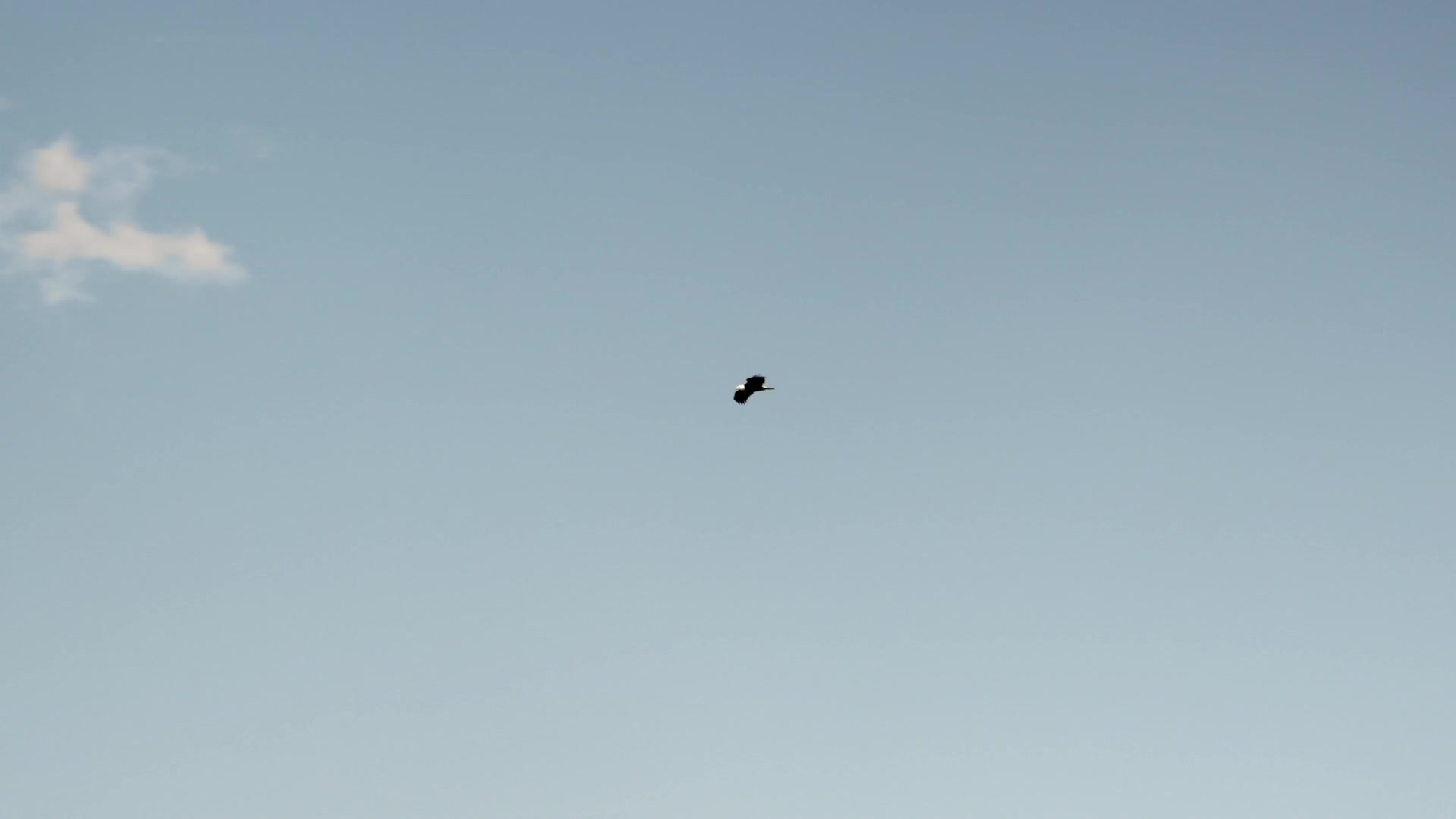Click to enlarge Image error