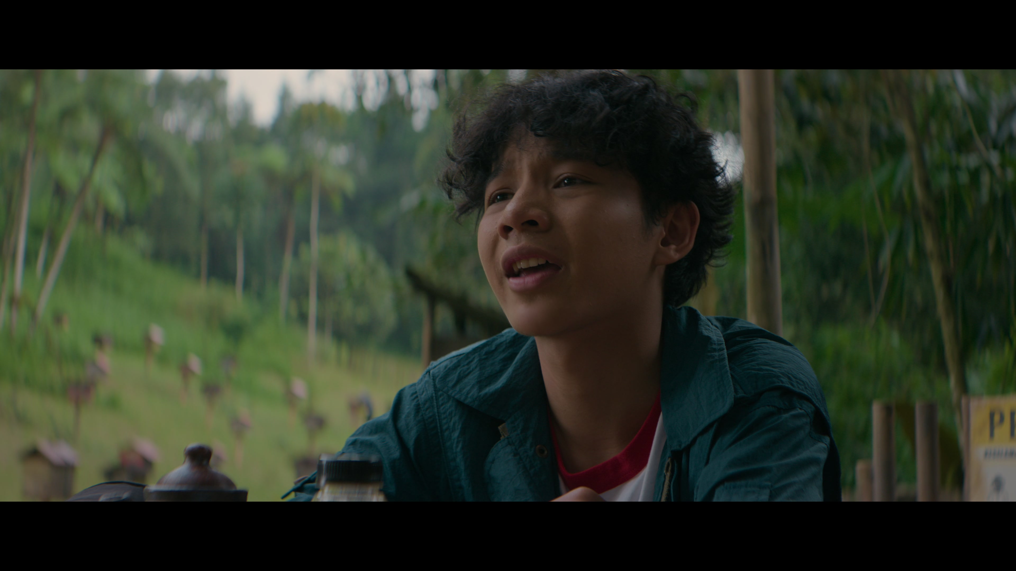 Click to enlarge Image error