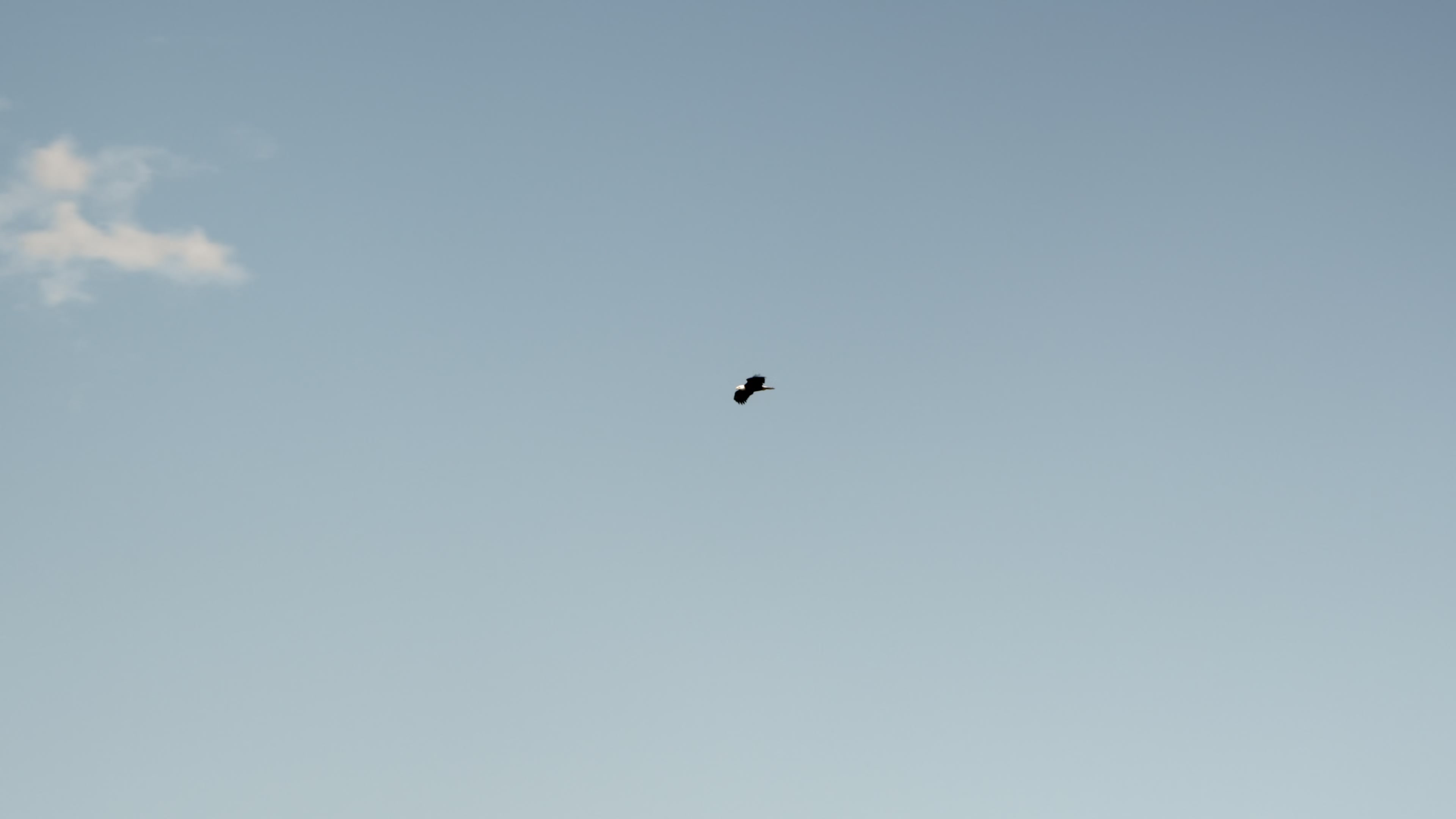 Click to enlarge Image error