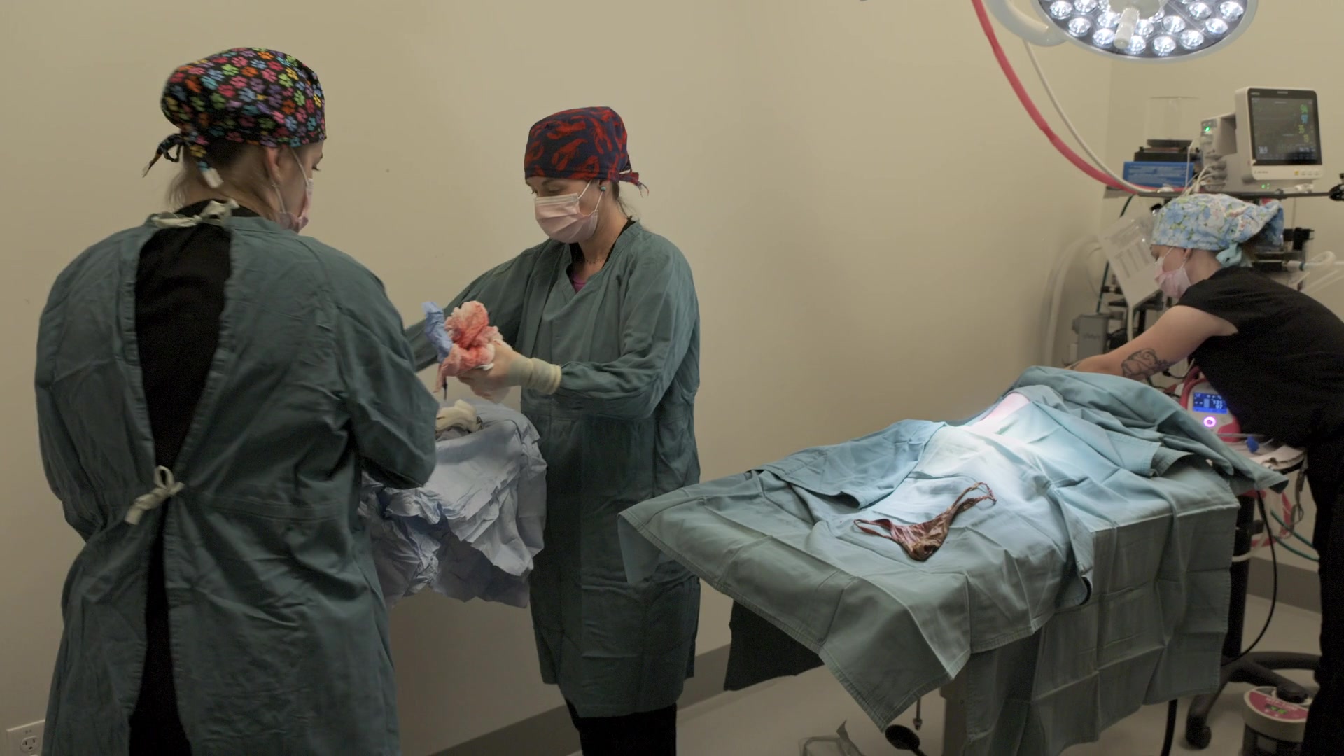 Click to enlarge Image error