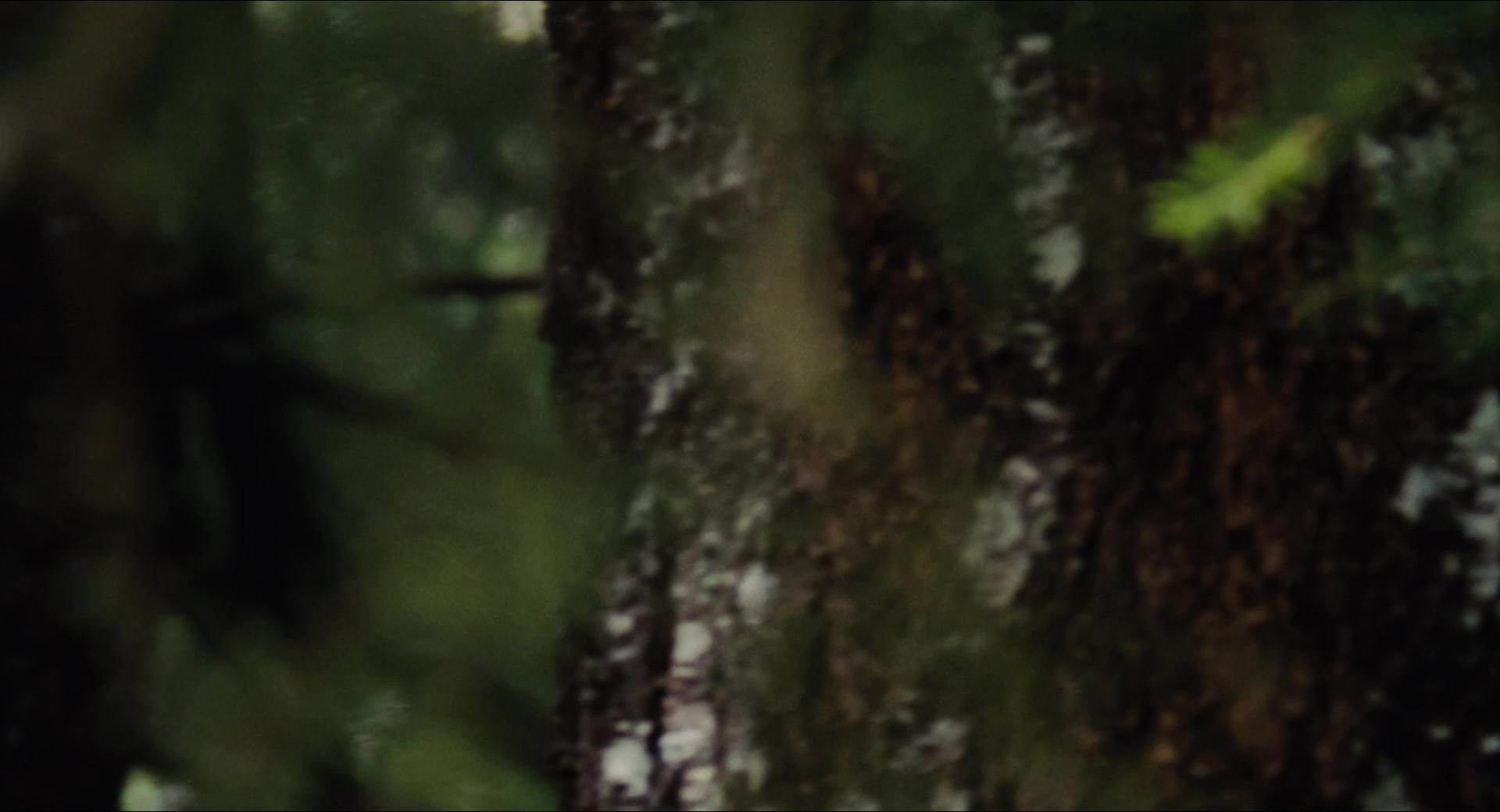 Click to enlarge Image error