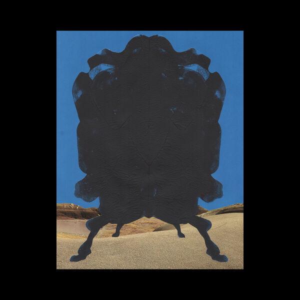 Unknown_Face-Unknown_Face-16BIT-WEB-FLAC-2026-TRB