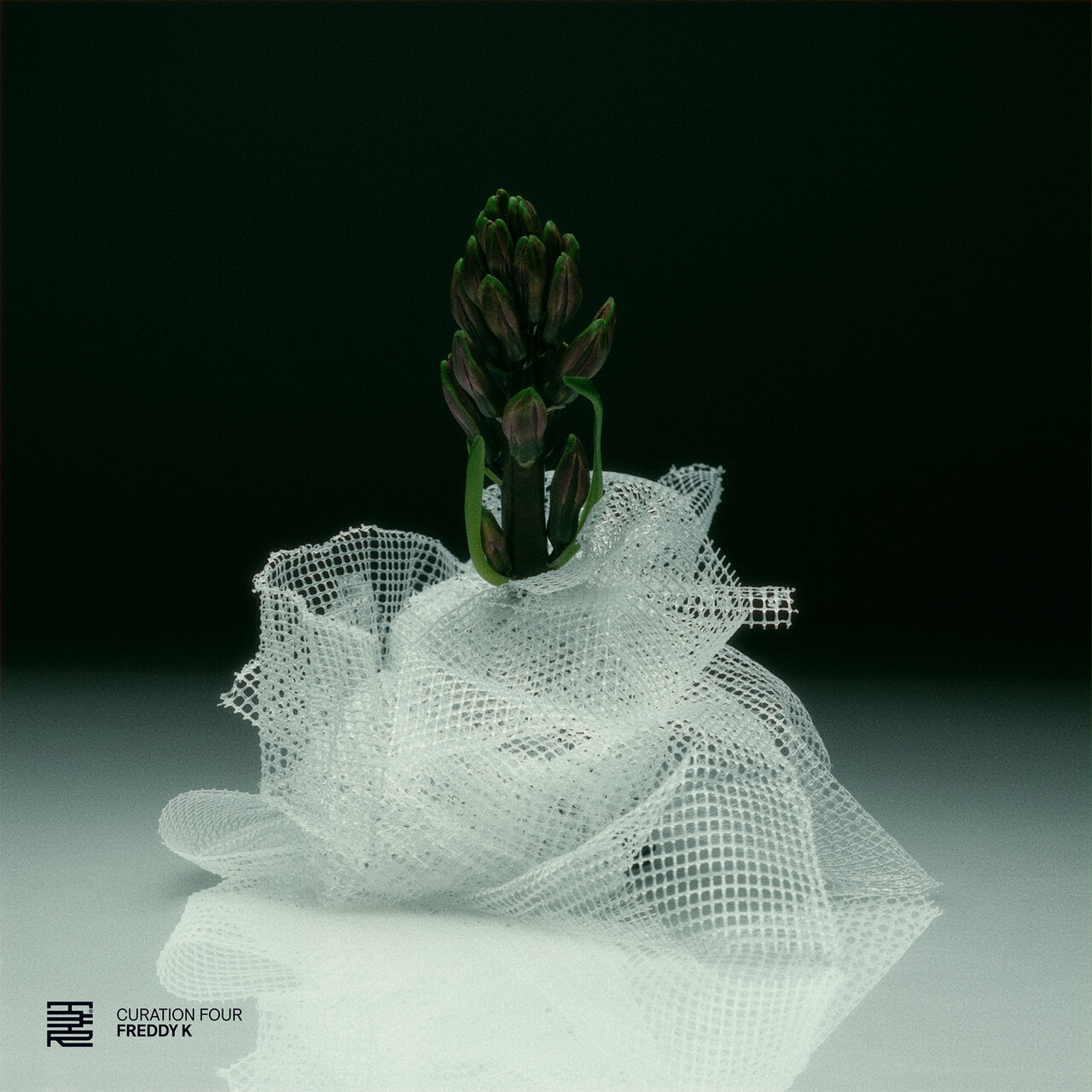 VA-Curation_Four_Freddy_K-T3R025-24BIT-WEB-FLAC-2026-TRB