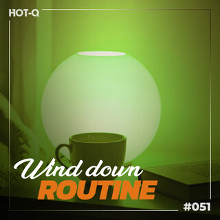 VA-Wind_Down_Routine_051-16BIT-WEB-FLAC-2026-TRB