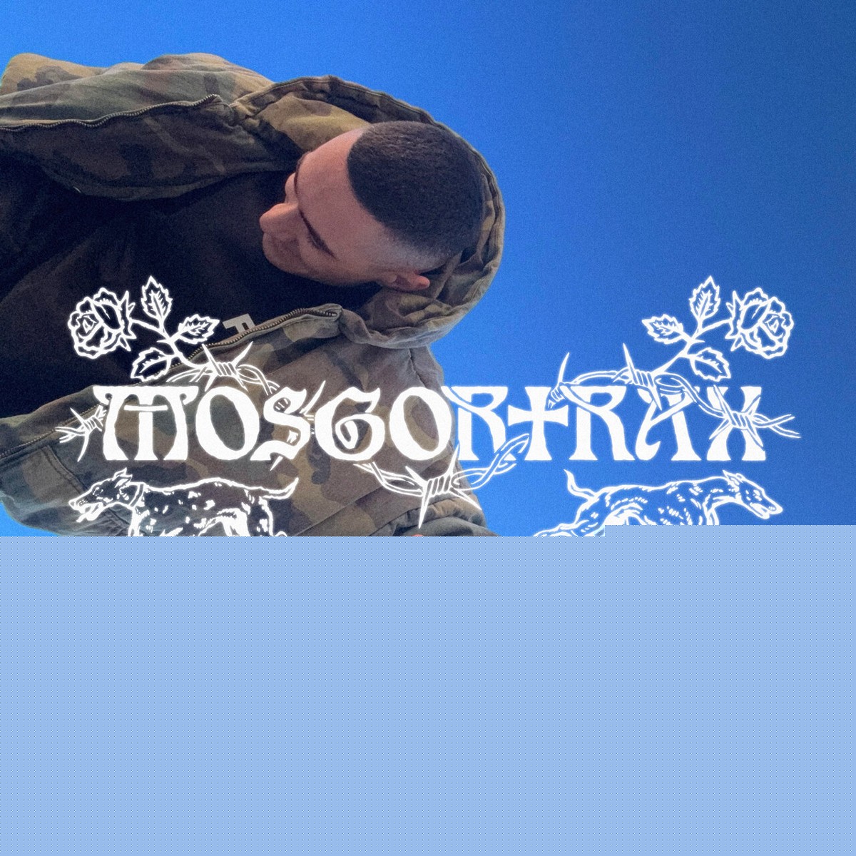 Click to enlarge Image error
